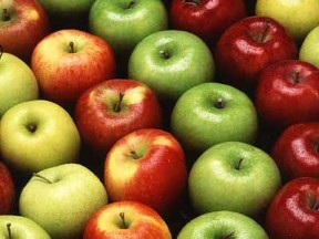 תפוחים. מקור: ויקיפדיה ברשיון שימוש חופשי. צילום: USDA photo by Scott Bauer