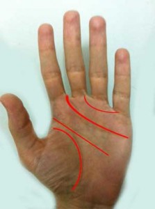 hand reading-Palmistry-chiromancy-by-holistica co il קריאה בכף היד. כירולוגיה. צילום: מערכת פורטל הוליסטיקה- רפואה משלימה.