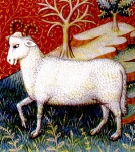 Aries-PD-medieval book of astrology מזל טלה. מקור: ויקיפדיה ברשיון שימוש חופשי PD. איור מתוך: medieval book of astrology