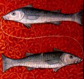 Pisces-PD-by-medieval book of astrology מזל דגים. מקור: ויקיפדיה ברשיון שימוש חופשי PD. איור מתוך medieval book of astrology