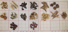 chinese herbs-cc-1-sa-Loc Huynh צמחי מרפא. מקור: ויקיפדיה ברשיון שימוש cc1-sa. צילום: Loc Huynh