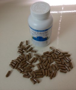 saw palmetto by holistica-co-il דקל ננסי - דקל המסור saw palmetto. צילום: פורטל הוליסטיקה- רפואה משלימה