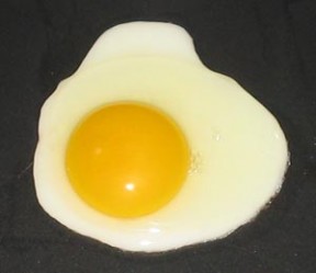 Fried-egg-PD-David Benbennick ביצה מטוגנת. מקור: ויקיפדיה ברשיון שימוש חופשי. צילום: David Benbennick
